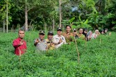 Wujud Nyata dan Komitmen Pemerintah, BUMDes Pasiran Berhasil Panen Cabe Hijau Capai 1.5 Ton