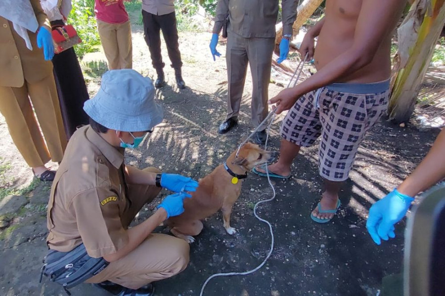 Kadiskes Riau Menyebut 5.550 Vial Vaksin Anti Rabies Sudah di Distribusikan
