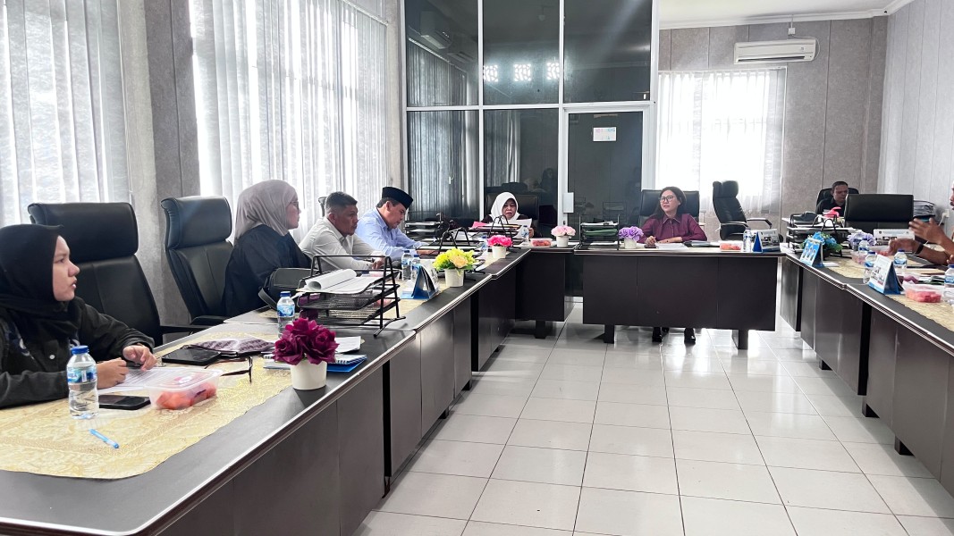 Pelayanan RSUD, Ambulans Laut hingga Optimalisasi Rumah Sakit Pratama  Jadi Sorotan Komisi III DPRD Meranti